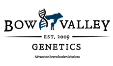 Bow Valley Genetics