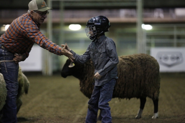 Mutton Busting Competition