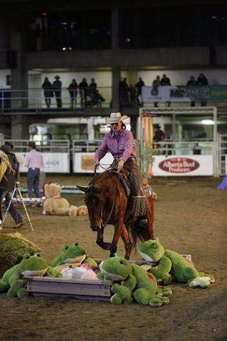 Extreme Cowboy Competition