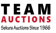 Team Auctions